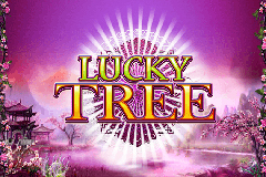 lucky-tree