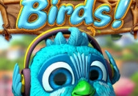 Betsoft Gaming returns to conquer the market Birds slot