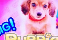 Try The New Slot From WMS OMG! Puppies