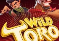 Wild Toro is a wild new slot, and it is raring to go
